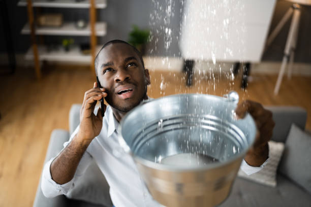 Best Water damage restoration specialists  in Heber, CA