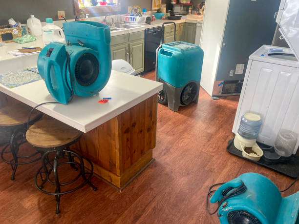 Best Water damage restoration services  in Heber, CA