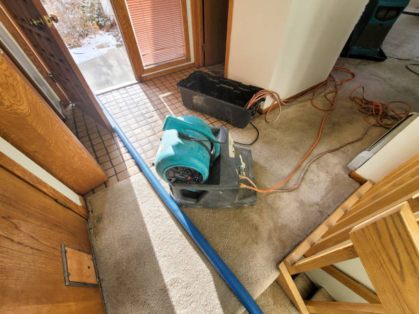 Best Water damage restoration near me  in Heber, CA