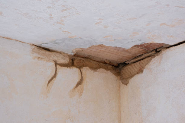 Best Flood restoration services  in Heber, CA