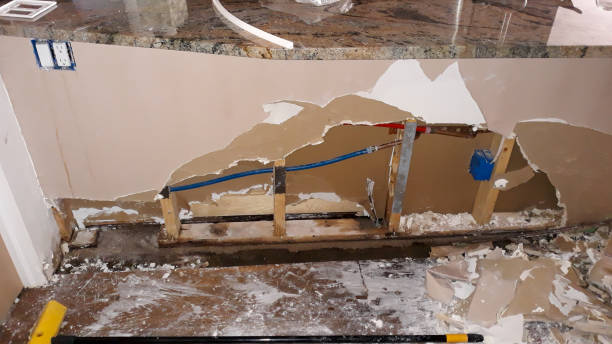 Best Ceiling water damage repair  in Heber, CA