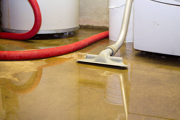 Best Professional water damage repair  in Heber, CA