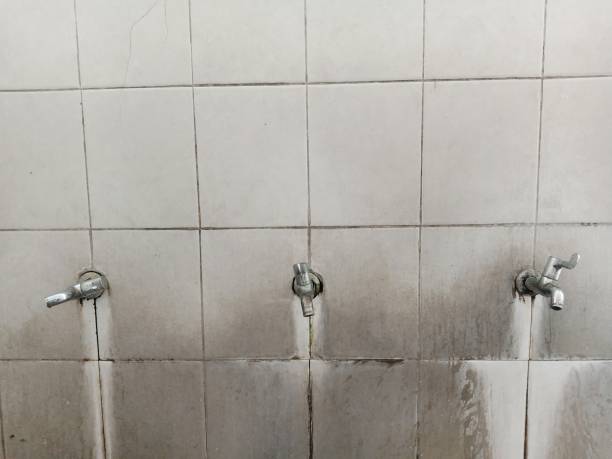 Best Flood damage cleanup  in Heber, CA