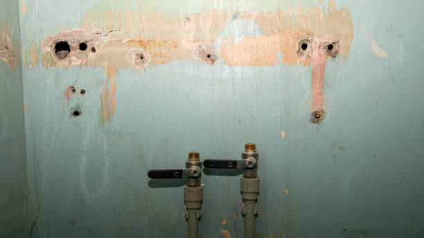 Best Local water damage restoration  in Heber, CA