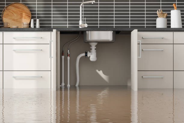 Best Ceiling water damage repair  in Heber, CA