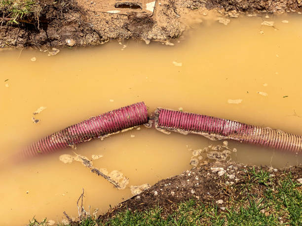 Best Carpet water damage restoration  in Heber, CA