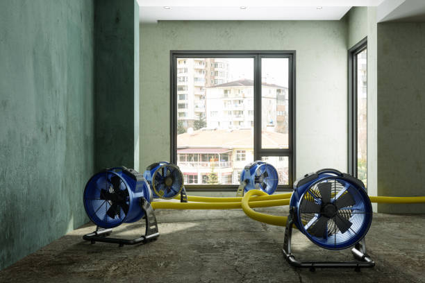 Best Flood restoration services  in Heber, CA